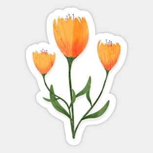 Orange Tulips Sticker